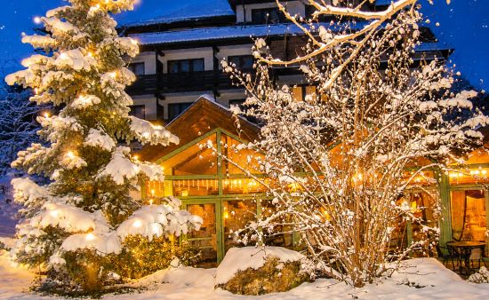 verschneiter wintergarten des hotel lamm am abend, mit beleuchteter tanne