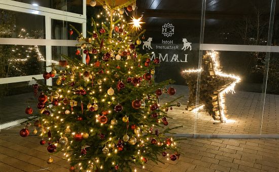 geschm&uuml;ckter weihnachtsbaum am eingang des hotel restaurant lamm